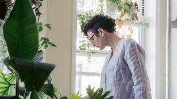 uslugi projektanta ogrodow